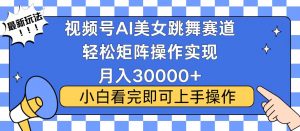 视频号蓝海赛道玩法，当天起号，拉爆流量收益，小白也能轻松月入30000+-创纪