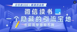 微信读书，一个隐藏的引流宝地，不为人知的小众打法，日引流300+精准创业粉，长尾流量源源不断-创纪