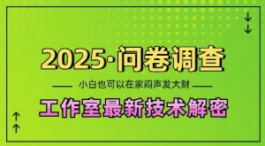 2025问卷调查最新工作室技术解密：一个人在家也可以闷声发大财，小白一天2张，可矩阵放大【揭秘】-创纪