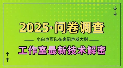 2025问卷调查最新工作室技术解密：一个人在家也可以闷声发大财，小白一天2张，可矩阵放大【揭秘】-创纪