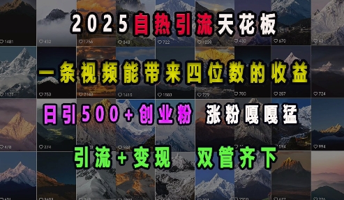 2025自热引流天花板，一条视频能带来四位数的收益，引流+变现双管齐下，日引500+创业粉，涨粉嘎嘎猛-创纪