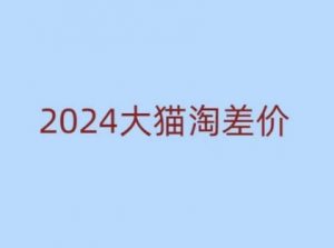 2024版大猫淘差价课程，新手也能学的无货源电商课程-创纪