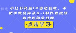 小红书商业IP变现私教,手把手教会你从0-1制作短视频到变现的全过程-创纪