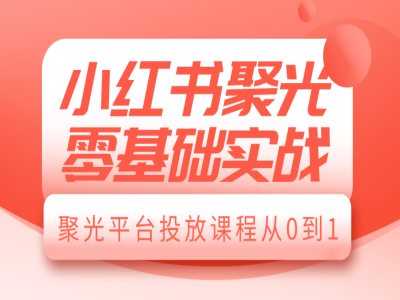 小红书聚光零基础实战，聚光平台投放课程从0到1-创纪