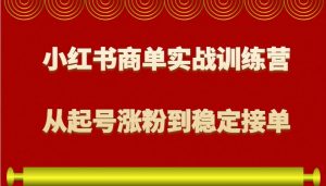 小红书商单实战训练营，从0到1教你如何变现，从起号涨粉到稳定接单，适合新手-创纪