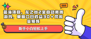 蓝海项目，龙之谷2全自动搬砖游戏，单窗口日收益30＋可批量矩阵-创纪