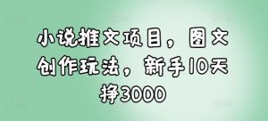 小说推文项目，图文创作玩法，新手10天挣3000-创纪