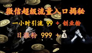 微信超级流量入口揭秘：一小时引流 99 + 创业粉，日涨粉 999 +-创纪