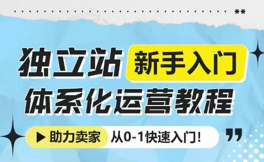 独立站新手入门体系化运营教程,助力独立站卖家从0-1快速入门!-创纪