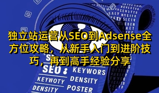 独立站运营从SEO到Adsense全方位攻略，从新手入门到进阶技巧，再到高手经验分享-创纪