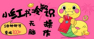 小红书冷知识账号，无脑复制粘贴，5分钟即可变现3张-创纪