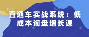 直通车实战系统：低成本询盘增长课，让个人通过技能实现升职加薪，让企业低成本获客，订单源源不断-创纪