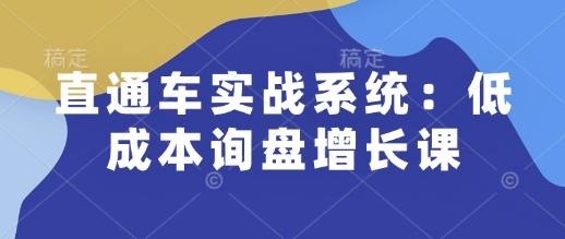 直通车实战系统：低成本询盘增长课，让个人通过技能实现升职加薪，让企业低成本获客，订单源源不断-创纪