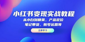 小红书变现实战教程：从小白到精英，产品定价，笔记带货，账号运营等-创纪