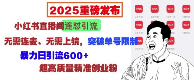 2025重磅发布：小红书直播间连怼引流，无需连麦、无需上镜，突破单号限制，暴力日引流600+-创纪