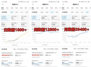 拼多多虚拟店铺项目，电脑挂机自动发货，单店日利润300+-创纪