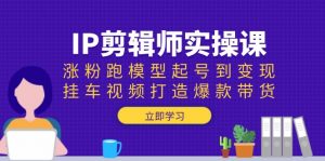 IP剪辑师实操课：涨粉跑模型起号到变现，挂车视频打造爆款带货-创纪
