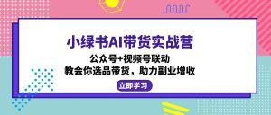 小绿书AI带货实战营：公众号+视频号联动，教会你选品带货，助力副业增收-创纪