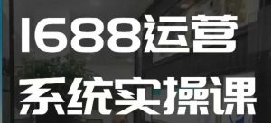1688高阶运营系统实操课，快速掌握1688店铺运营的核心玩法-创纪