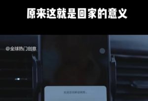 利用春节风口，制作热点视频，多种玩法类型，新手也能轻松变现！-创纪