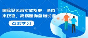 国际站运营实战系统：低成本获客，高质量询盘增长课-创纪
