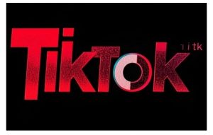 TikTok ads投流秘籍，涵盖tiktok整体投放思路，教你搭建测试计划-创纪