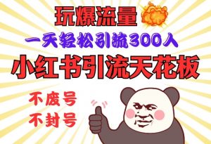小红书引流天花板，玩爆流量，一天轻松引流300人，安全操作-创纪