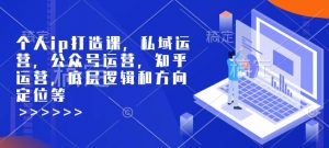 个人ip打造课，私域运营，公众号运营，知乎运营，底层逻辑和方向定位等-创纪
