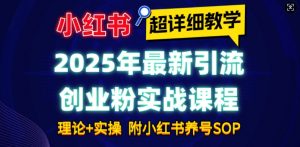 2025年最新小红书引流创业粉实战课程【超详细教学】小白轻松上手，月入1W+，附小红书养号SOP-创纪