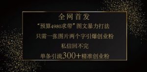 小红书神奇图片引流法，只需一张图，就能单条笔记凭借此方法，轻松引流 300 + 精准创业粉-创纪