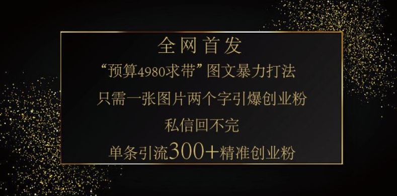 小红书神奇图片引流法，只需一张图，就能单条笔记凭借此方法，轻松引流 300 + 精准创业粉-创纪