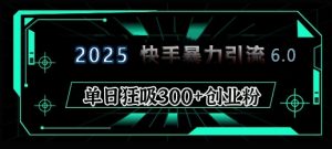 2025年快手6.0保姆级教程震撼来袭，单日狂吸300+精准创业粉-创纪