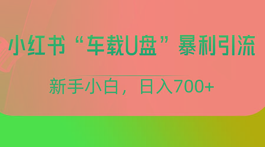 小红书“车载U盘”项目,暴利引流,新手小白轻松日入700+-创纪