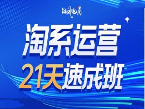 淘系运营21天速成班35期，年前最后一波和2025方向-创纪