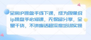 全案IP操盘手线下课，成为现象级ip操盘手必修课，无保留分享，全是干货，不讲废话超深度培训实操-创纪