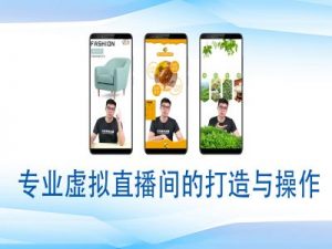 个人虚拟直播间的搭建与操作，专业虚拟直播间的打造与操作-创纪
