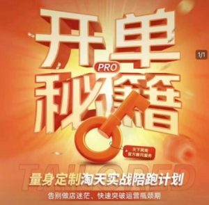 淘宝开单秘籍PRO，量身定制淘天实战陪跑计划，告别做店迷茫、快速突破运营瓶颈期-创纪
