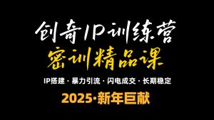 2025年“知识付费IP训练营”小白避坑年赚百万,暴力引流,闪电成交-创纪
