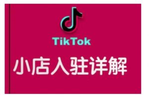 TikTok跨境小店运营全攻略,帮助你独立运营TK跨境小店的能力,实现销量增长-创纪