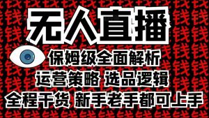 2025无人直播这么做就对了，保姆级全面解析，全程干货，新手老手都可上手-创纪