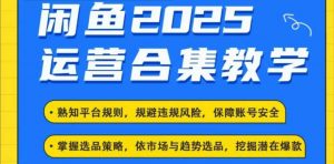 2025闲鱼电商运营全集，2025最新咸鱼玩法-创纪
