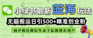 小绿书无脑搬运引流，全自动日引500精准创业粉，微信生态内又一个闷声发财的机会-创纪