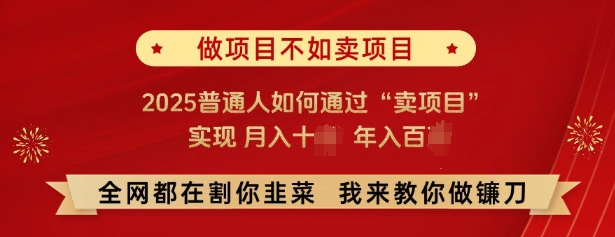 必看，做项目不如卖项目，2025普通人如何通过“卖项目”实现月入十个，年入百个-创纪