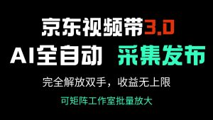 京东视频带货3.0，Ai全自动采集＋自动发布，完全解放双手，收入无上限...-创纪