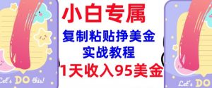 复制粘贴挣美金，0门槛，1天收入95美刀，3分钟学会，内部教程(首次公开)-创纪