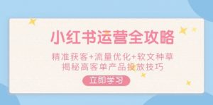 小红书运营全攻略，精准获客+流量优化+软文种草，揭秘高客单产品投放技巧-创纪