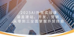 2025AI外贸实战课：涵盖建站、开发、营销, 从零到三全面掌握外贸技能-创纪