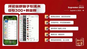 评论区野路子截流创业粉新方法,日被动加300+创业粉,精准引流被动添加...-创纪