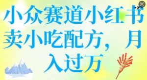 小众赛道小红书卖小吃配方，操作简单，月入过W-创纪