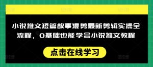 小说推文短篇故事混剪最新剪辑实操全流程，0基础也能学会小说推文教程，肯干多发日入多张-创纪